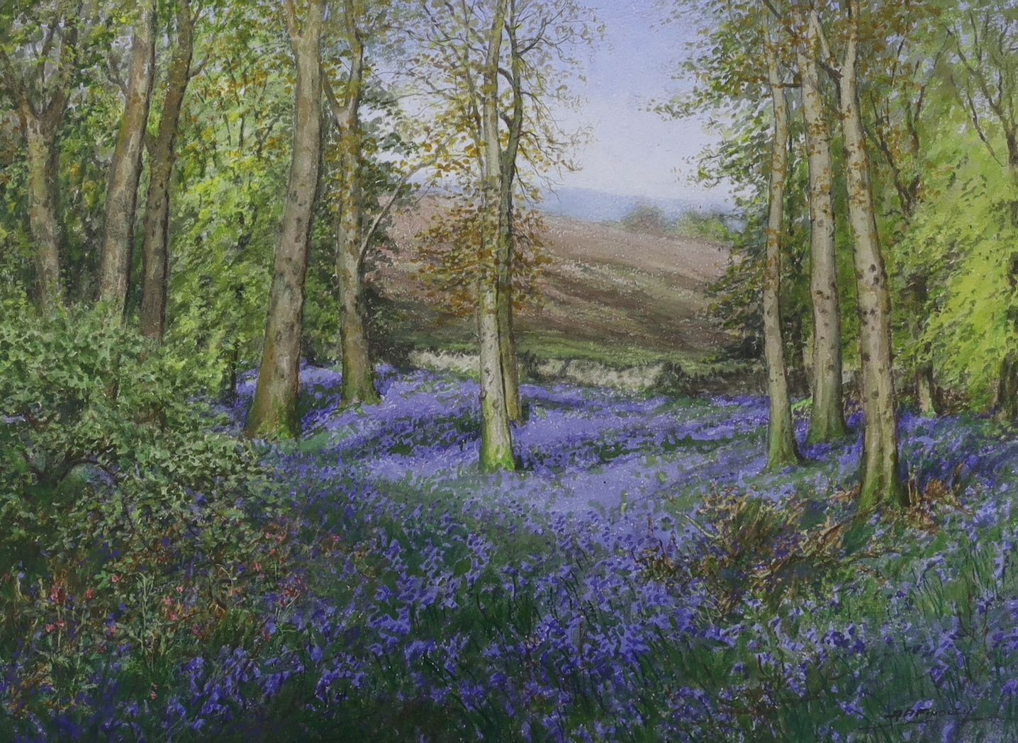 Albert Henry Findley (1880-1975), pair of watercolours, Bluebell Woods, signed, 27 x 37cm